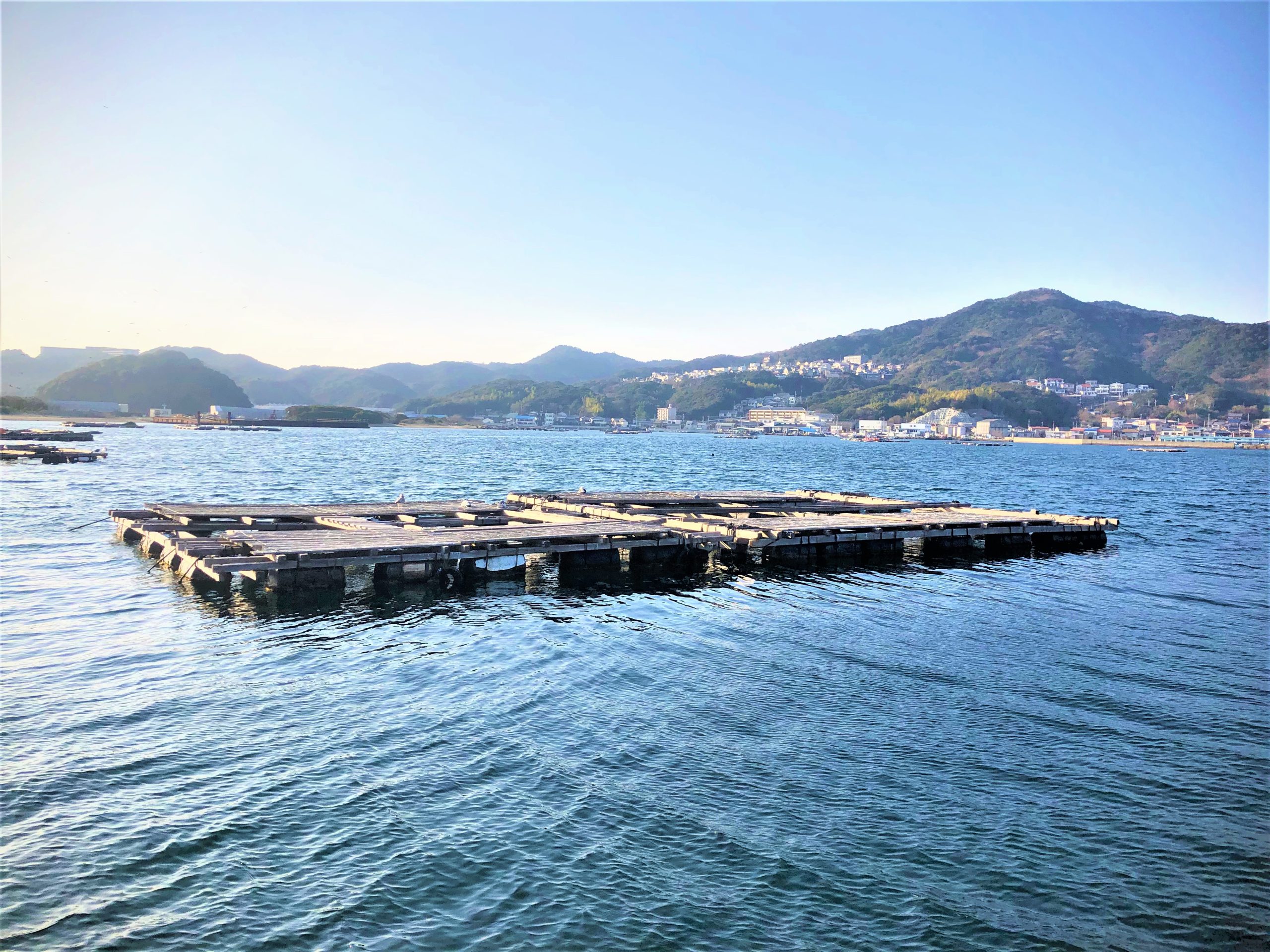 じゃのひれ渡船 筏釣りセンター